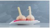 Can Dogs Eat Food With Garlic? Expert Warnings & Tips