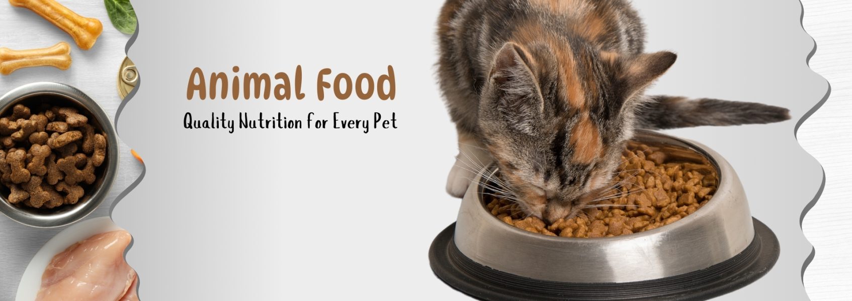 What Human Food Can Cats Eat