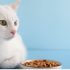 Is Potato Good for Cats? Risks & Safe Feeding Tips
