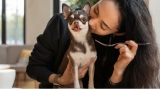 Can Dogs Eat Food With Onions? Know the Risks Today