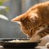 Can a Dog Die from Eating Cat Food? What Vets Say