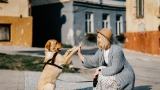Hills Metabolic Dog Food: Proven Weight Support
