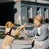 How Long Can Dogs Go Without Food? Amazing Facts!