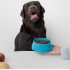 Hills Metabolic Dog Food: Proven Weight Support