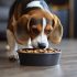 Healthy Foods for Cats: Vet-Approved Daily Diet