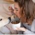 Katherine Heigl Dog Food Made for Happy, Healthy Dogs