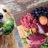 10 Homemade Cat Food Recipes for Healthy, Happy Cats