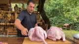Turkey Dog Food: Delicious, Healthy Meals for Dogs