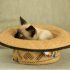 10 Homemade Cat Food Recipes for Healthy, Happy Cats